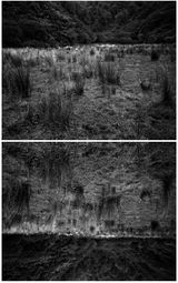 Theatre Uruti Valley Taranaki by Ann Shelton contemporary artwork photography