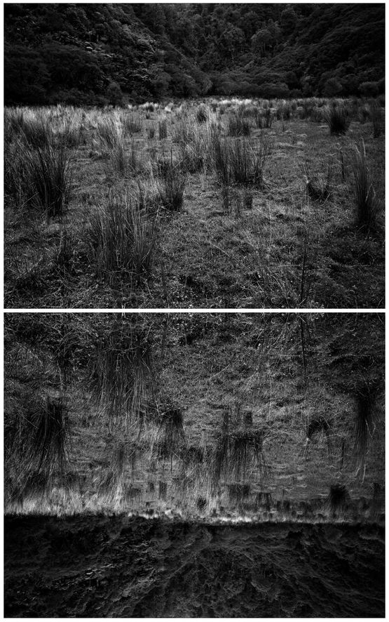 Theatre Uruti Valley Taranaki by Ann Shelton contemporary artwork Photography