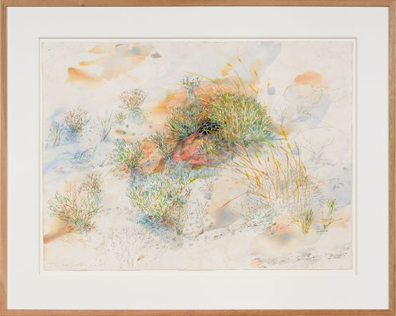 Greater bilby burrow by John Wolseley contemporary artwork Works on Paper