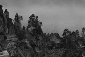 Yang Yongliang