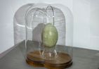 Mystosis by Kitti Gosztola contemporary artwork Sculpture