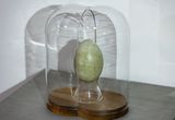Mystosis by Kitti Gosztola contemporary artwork sculpture