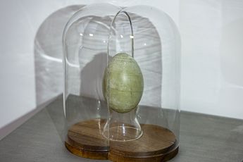 Kitti Gosztola contemporary artist