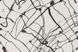 Wang Chuan