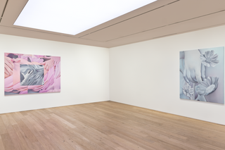 Contemporary art exhibition Vivian Greven In Bloom at Perrotin Seoul South Korea