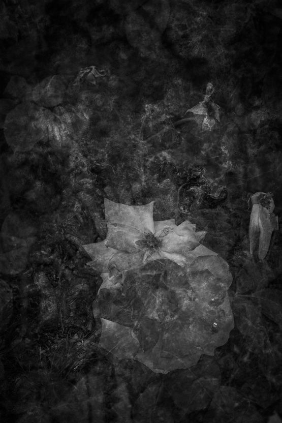INTERVAL OF VIEWING Chronograph CN2470-06 by Melik Ohanian contemporary artwork Print