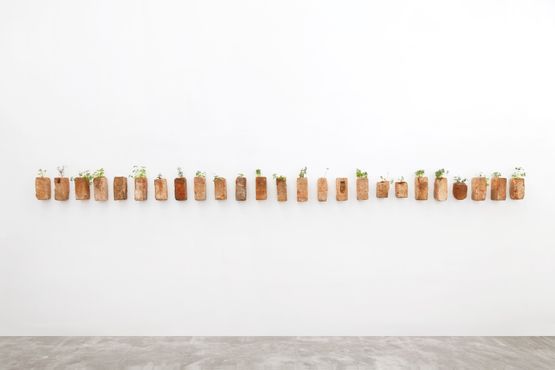 A horta da casa by Brigida Baltar contemporary artwork Mixed Media