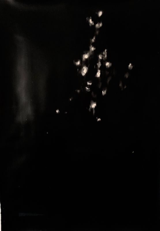 Against the sun XII by Alexandra Karakashian contemporary artwork Works on Paper