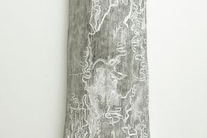 Cui Fei