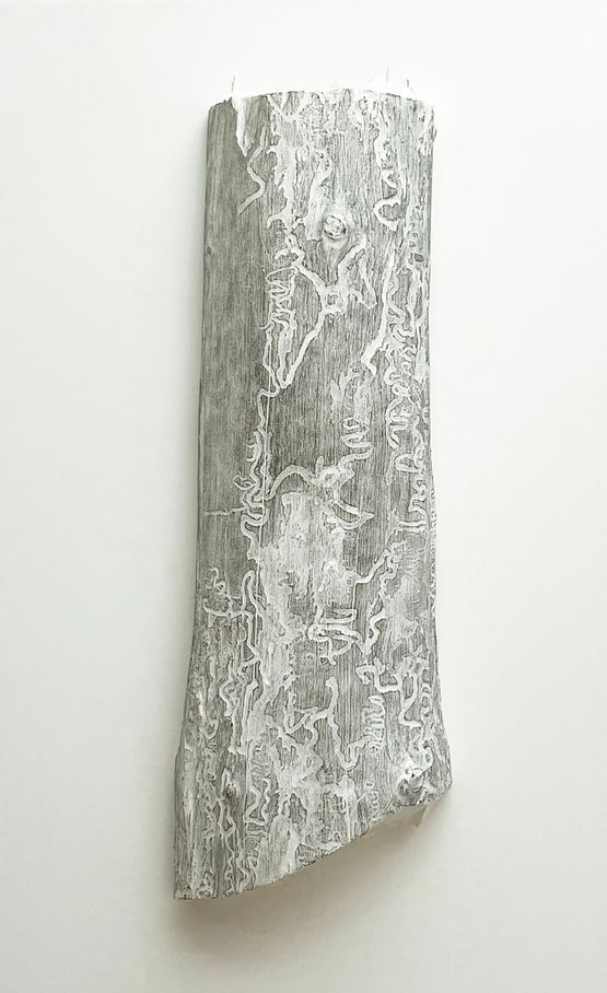 Study for Vermicular Calligraphy XIV by Cui Fei contemporary artwork Works on Paper