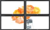 Untitled Jason by Diana Thater contemporary artwork installation moving image