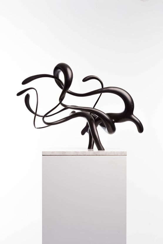 Are you sure by Driaan Claassen contemporary artwork Sculpture