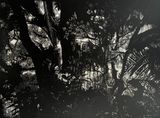 Radiance of the Forest by Maryanto contemporary artwork painting