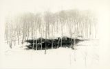 KawaFlow 1508 by Yamamoto Masao contemporary artwork photography