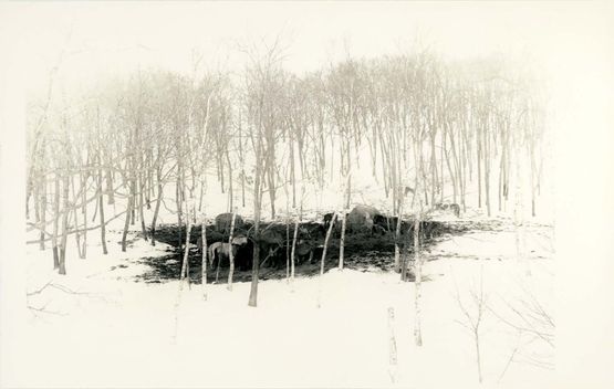KawaFlow 1508 by Yamamoto Masao contemporary artwork Photography