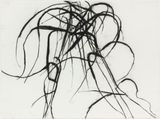 Oct. 18 2011 2 Blue-joint grass Calamagrostis canadensis by Susan Hartnett contemporary artwork works on paper
