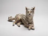 PixCell-Coyote10 by Kohei Nawa contemporary artwork mixed media