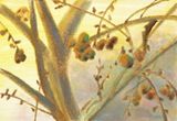 Move Upwards by Anna Ngan Leong Cheung contemporary artwork print