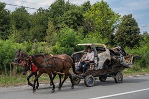 Lucas Foglia