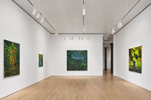 Clare Woods