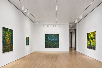 Contemporary art exhibition Clare Woods A Kinder Time at Stephen Friedman Gallery New York United States
