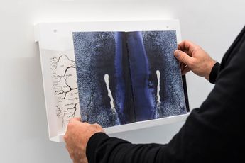 Shubigi Rao contemporary artist
