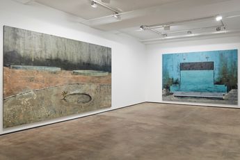 Contemporary art exhibition Alejando Campins Lapse at Sean Kelly New York United States