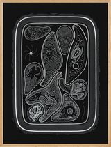 Zoofolium 06 by Golan Levin contemporary artwork drawing nft