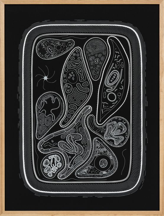 Zoofolium 06 by Golan Levin contemporary artwork Drawing