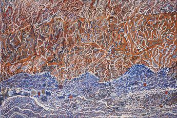 Contemporary art exhibition Mavis Ngallametta New Paintings at Martin Browne Contemporary Sydney Australia