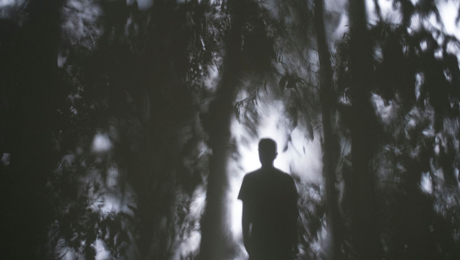 APICHATPONG WEERASETHAKUL
