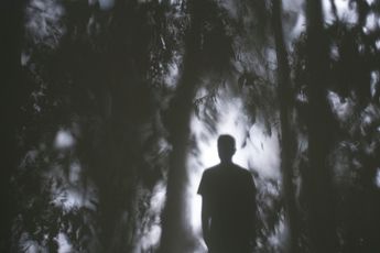 Apichatpong Weerasethakul contemporary artist