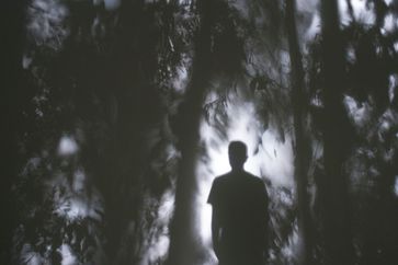 Apichatpong Weerasethakul contemporary artist