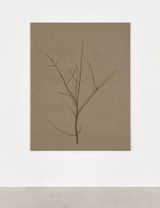 Branch by Helene Appel contemporary artwork painting