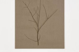 Helene Appel