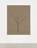 Branch by Helene Appel contemporary artwork Painting