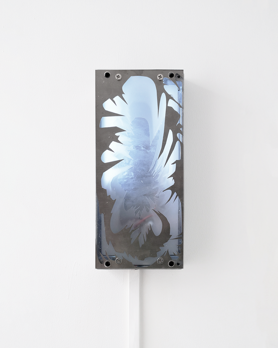 Prototype0037 DISK 2025.2.2 by 00 Zhang contemporary artwork Sculpture