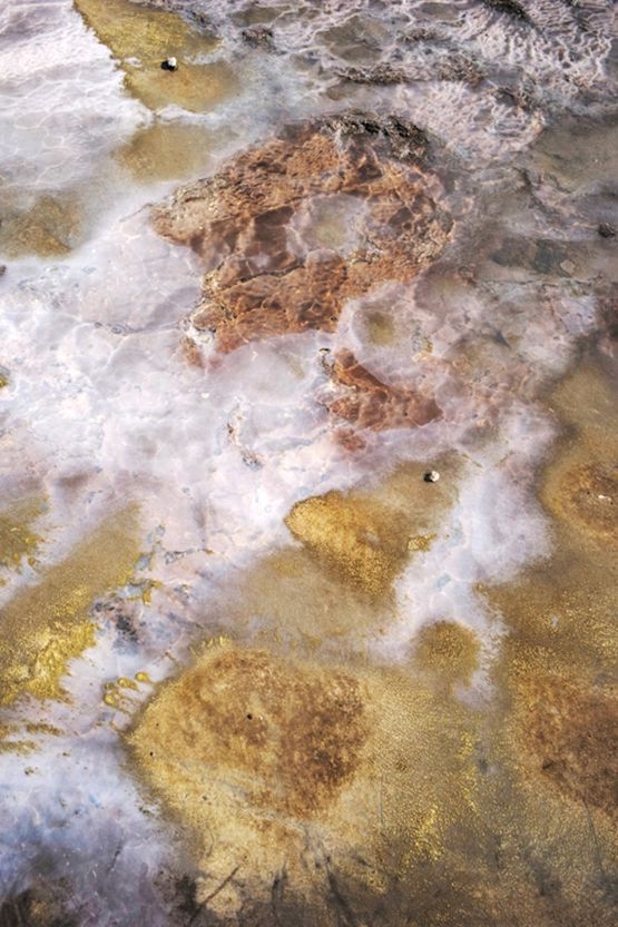 Untitled from the series WATER by Jitka Hanzlova contemporary artwork Photography