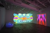 Cellular Bridges by Emmett Potter contemporary artwork installation moving image