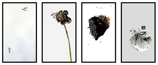 Four Seasons Extended Time Series V.3 by Hung Keung contemporary artwork Moving Image