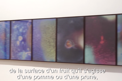 Jitish Kallat The Infinite Episode Galerie Daniel Templon Paris