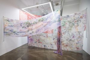 Fay Shin