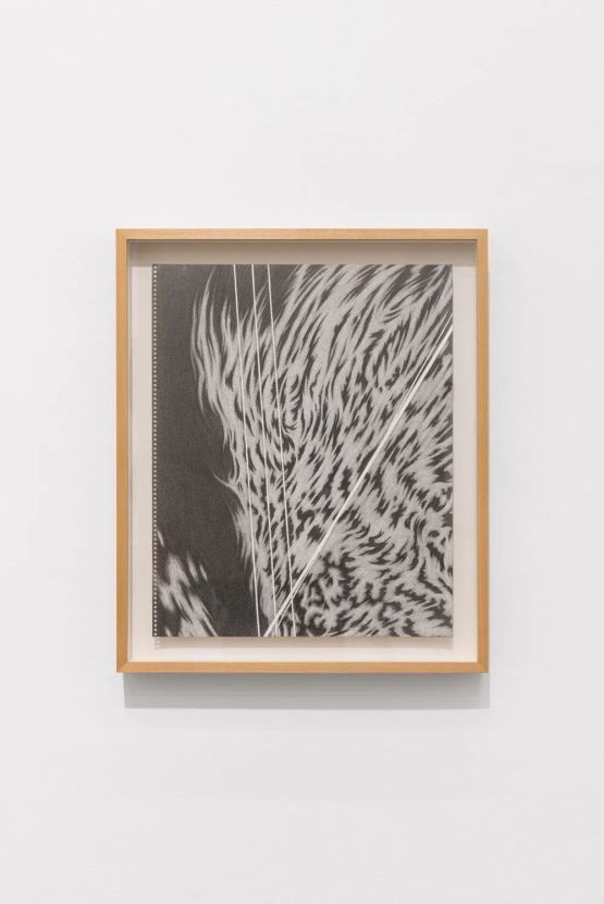 Was in Sorrow in a Soft Air Op.11 by Han Jin contemporary artwork Works on Paper