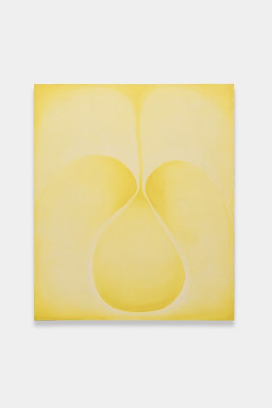 Sem titulo Untitled by Gabriel Branco contemporary artwork Painting