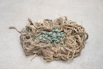 The Estate of Lucia Nogueira contemporary artist