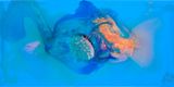 get out of here your love you express is based on a valid passport by Dale Frank contemporary artwork painting