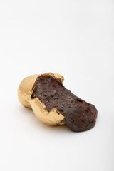 Untitled by Takuro Kuwata contemporary artwork sculpture