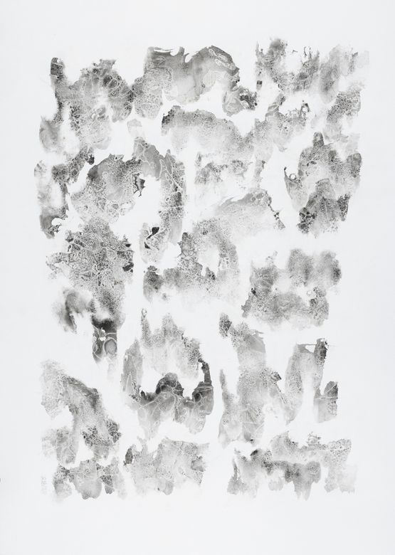 Lotus 8 by Chiang Yomei contemporary artwork Works on Paper