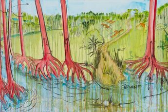 Contemporary art exhibition Fabrice Hyber LEponge qui pleure The Weeping Sponge at ShanghART Beijing China