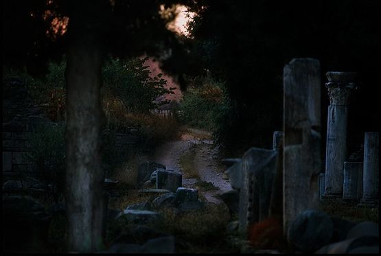 Untitled 6 by Bill Henson contemporary artwork Photography